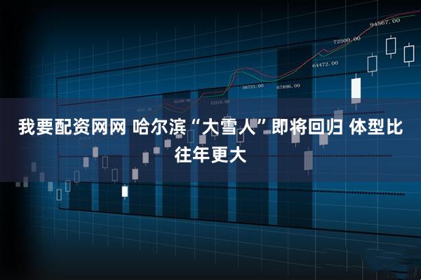 我要配资网网 哈尔滨“大雪人”即将回归 体型比往年更大