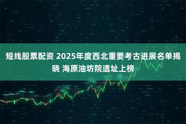 短线股票配资 2025年度西北重要考古进展名单揭晓 海原油坊院遗址上榜